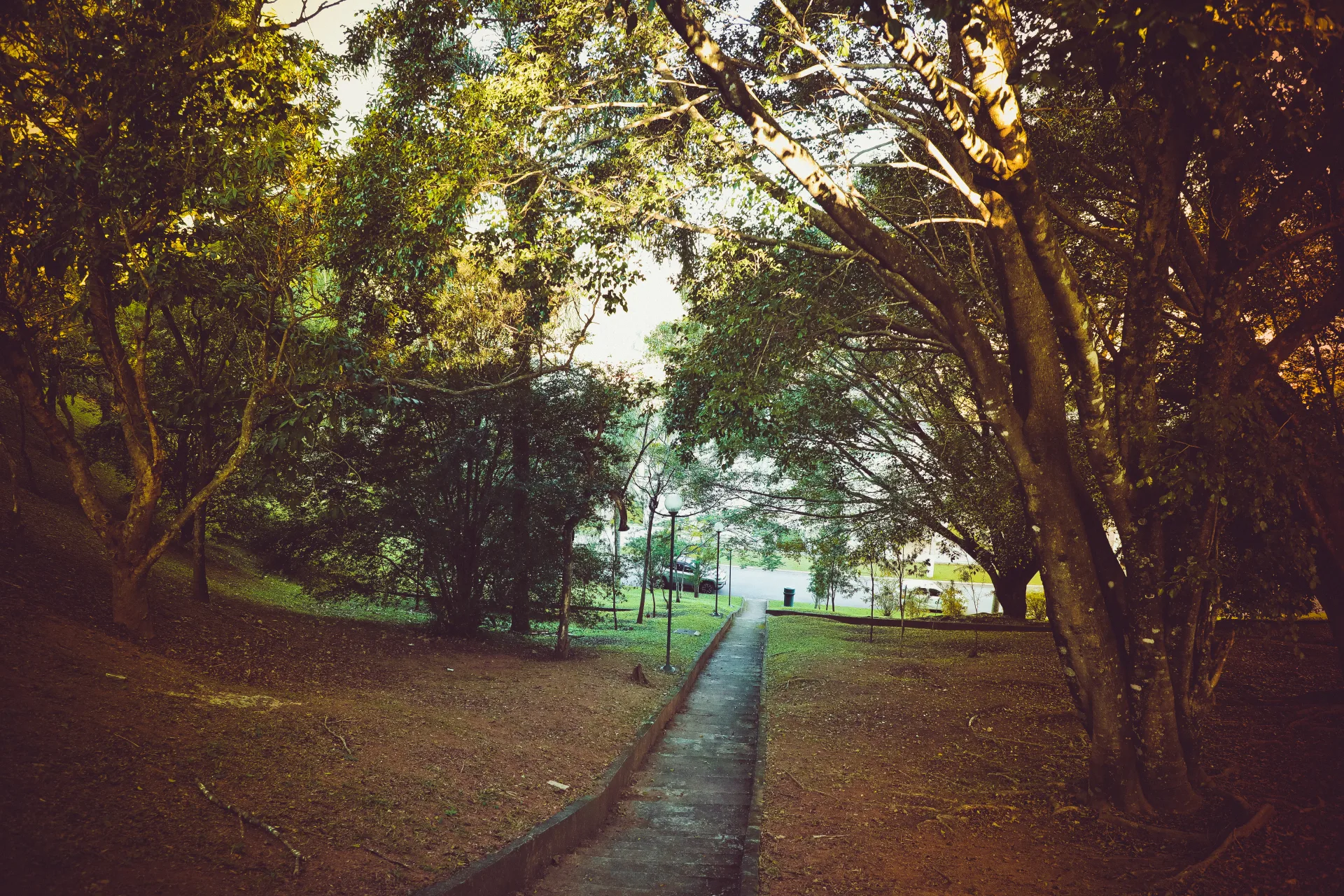 Belvedere — foto 3