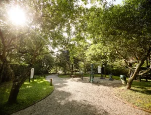 Alameda arborizada do residencial