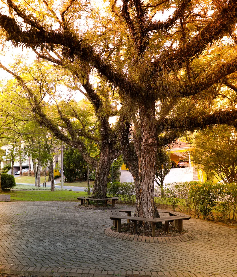 Praça Irerê